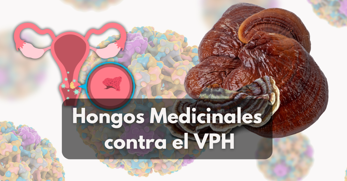 vphyhongos