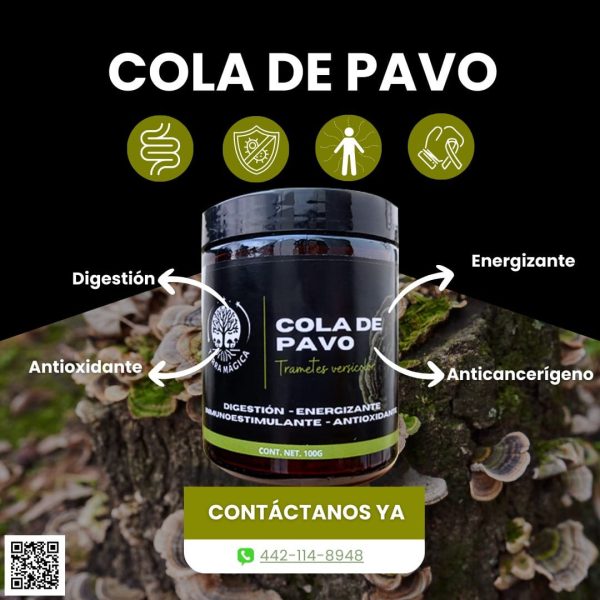 Hongo Cola de Pavo