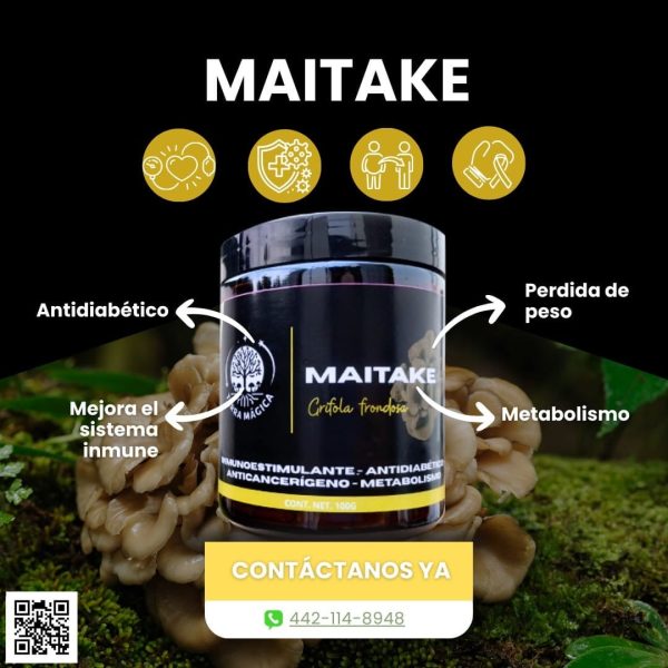 Hongo Maitake
